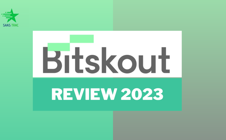 BitSkout-Review-2023-Pricing-Features-More
