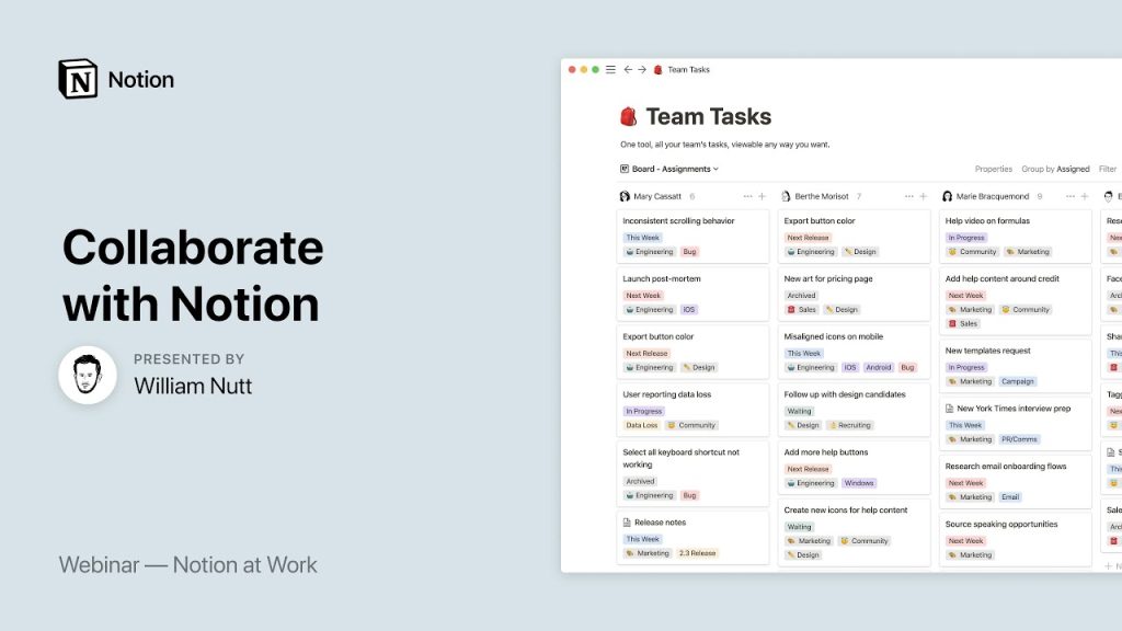 notion-review